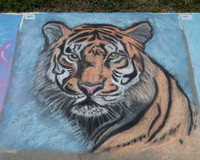 Chalk Art_ 7.12.25_052