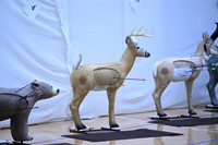 Archery_05