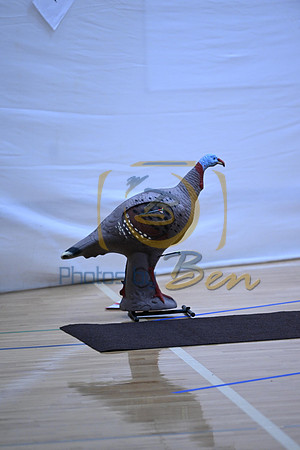 Archery_20