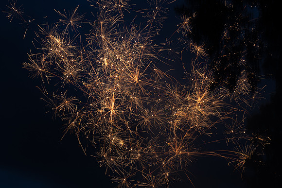 Sean S. and friends Fireworks_7.3.26_8