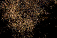 Sean S. and friends Fireworks_7.3.26_7
