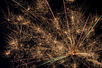 Sean S. and friends Fireworks_7.3.26_16