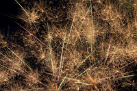 Sean S. and friends Fireworks_7.3.26_17