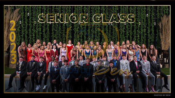 Senior Class prom poster  19x10.5   for $15
