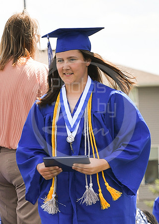 Diploma (2)_334