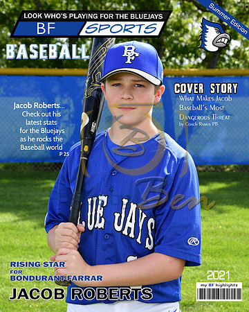 BFS_6133 MagCover