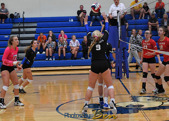 PhotosbyBen_8138