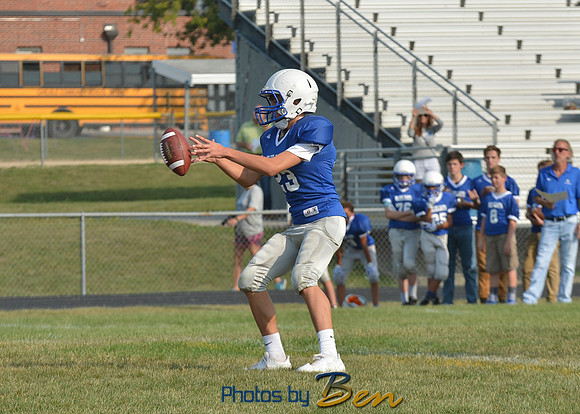 BFV_0037