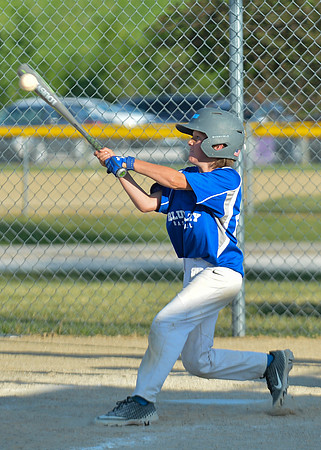 LittleLeague_010