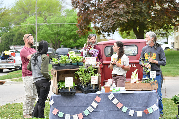 Farmer's Market 5.5_018