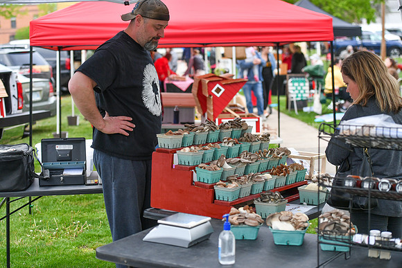 Farmer's Market 5.5_031