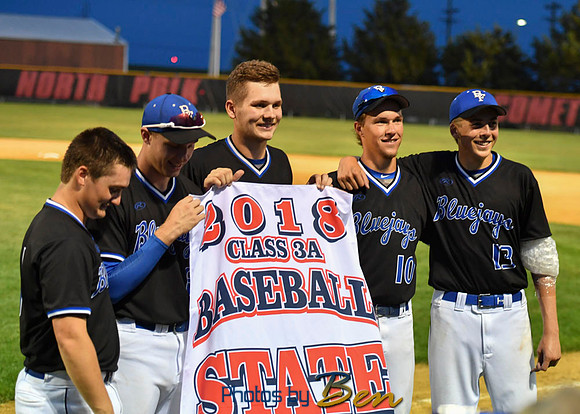 Substate_210