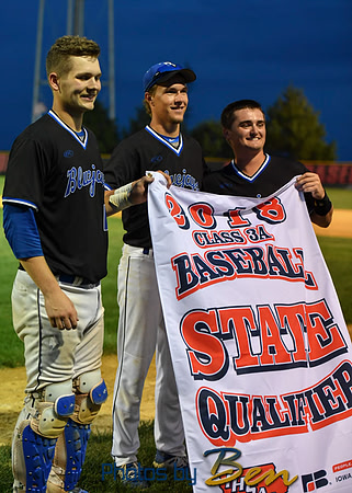 Substate_215