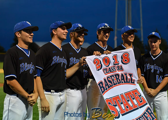 Substate_218