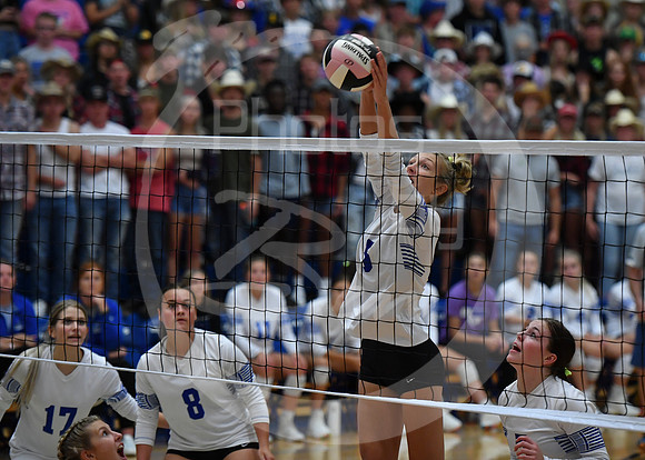 VB-Ballard (2)_072
