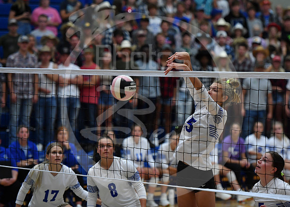 VB-Ballard (2)_073