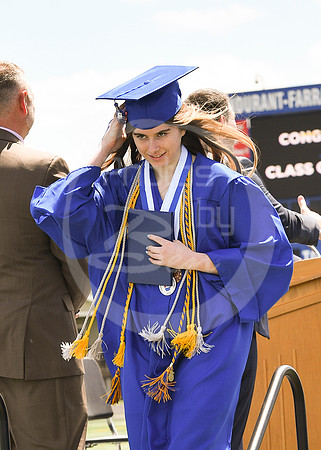 Diploma (2)_209