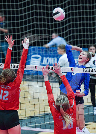 state VB (2)_110z