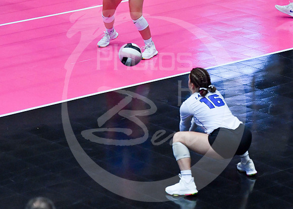 state VB (2)_208z