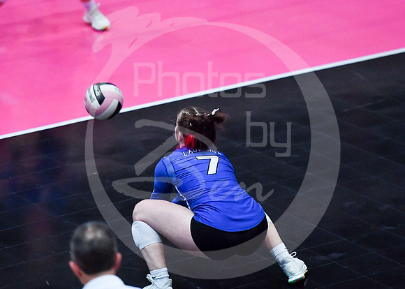 state VB (2)_233z