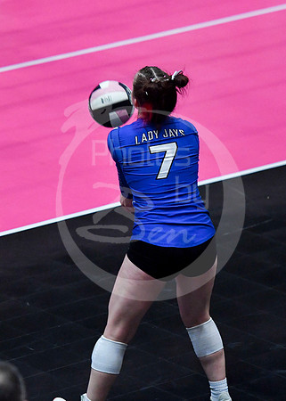 state VB (2)_244z