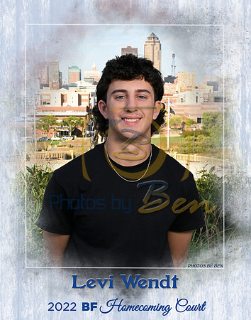 Wendt-Levi