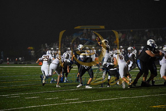 BFF_3596