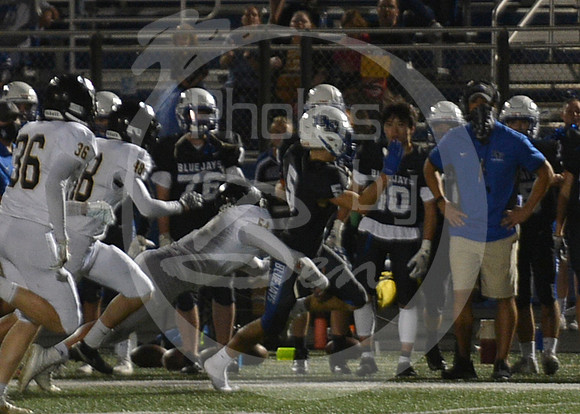 HOCO-Vars___046