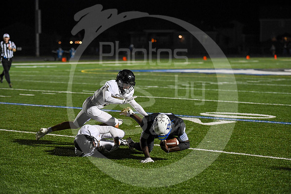 HOCO-Vars___265