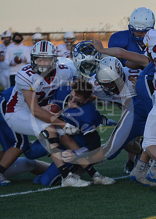 FRFB-PCM__129