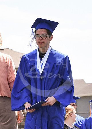 Diploma (2)_377