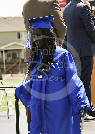 Diploma (2)_138