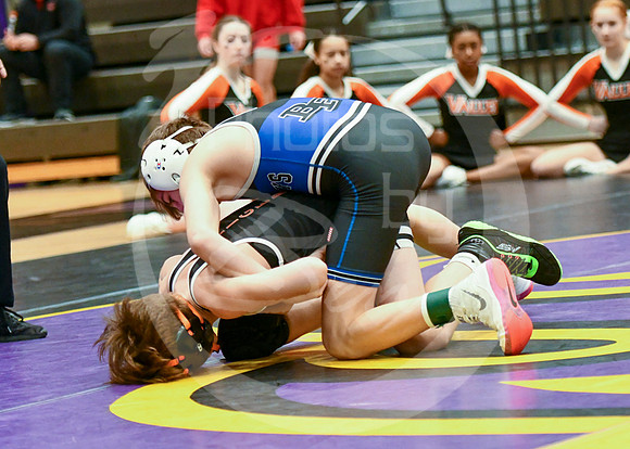 Districts -(2)__008z