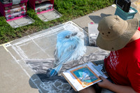Chalk Art Beginnings_018