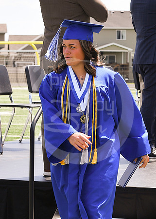 Diploma (2)_049